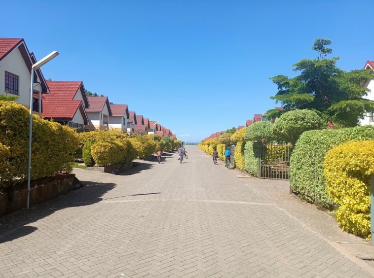 WhatsApp Image 2024-07-12 at 16.21.38 (1)